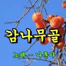 감나무골 - 나훈아 이미지