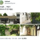 봄에는 버스 타거나 무작정 걷는 시간도 전부 여행인 게 좋다.twt 이미지
