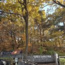 꿈의숲sk공인중개사사무소 이미지