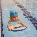 🐆 3월-수영🏊🏊‍♀️ 이미지