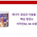 토탈코리아