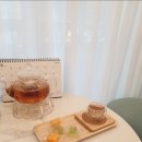 스킨앤바디 이미지