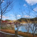 지리산쌍계한의원 이미지