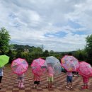 남양영재어린이집 이미지