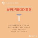 크린보이 이미지