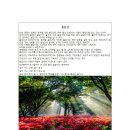 소계주유소 이미지