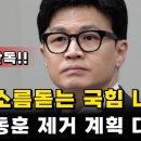 한동훈 이준석 제거 대성공 이미지