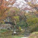 금메달토굴새우젓 이미지