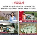 내사랑피부