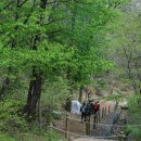 청계산 등산로 이미지