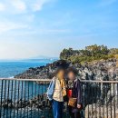 아라짱투어 | 제주 택시투어 후기 제주도 택시대절 요금 비교