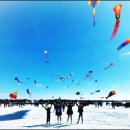 자라섬관광안내소 이미지