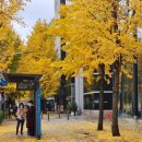 토성역2번출구 이미지