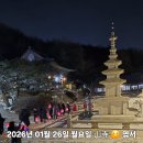 청사초롱 이미지