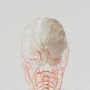 이현준한의원 이미지