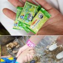 (주)피앤엘 이미지