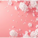 서울바른플란트치과의원 이미지