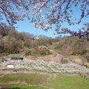 원경농장 이미지