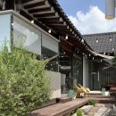 라소(laso) 이미지