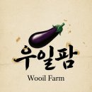 의성 안계 노포 맛집 안성식당 불향 연탄구이에 우일팜 최상품 가지까지 완벽했다.
