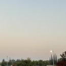 (주)올래여행사 | 여행 21.11.18 ~ 21.12.03> DAY4 샌프란시스코 요세미티 국립공원 당일투어/줌줌투어/사무엘 올래투어 추천