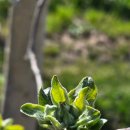 골안농장 이미지