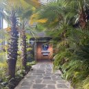 동읍617 | [공지] 창원 동읍 대형카페 퍼시먼커피 솔직후기