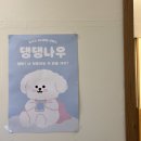 미미네 애견미용실 | 신대방 애견미용실 추천: 10년동안 강아지 미용만 연구한 전문가가 운영하는 어글리독