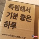 12월 올리브영 세일! 직접 구입하고 써보았던 올영추천템