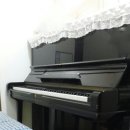 피아노포레스트