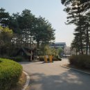 망우동-050 | 서울 차박캠핑 카크닉 2만원대 중랑구캠핑장 이용 후기