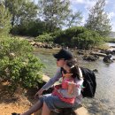 케이렌트카 이미지