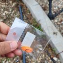 전곡낚시터 이미지