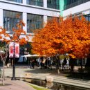 농협로컬푸드직매장/고촌농협장곡지점 이미지