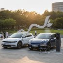 알찬전기자동차충전소세차장 | 보조금 줄어도 국산전기차 사는 이유? 솔직히 다 알려 드립니다