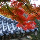 불교문화원 이미지