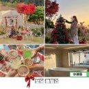 보담풀빌라 | 충남 태안 서산 대가족 독채 풀빌라 펜션 감성숙소 바베큐파티 불멍 보담풀빌라