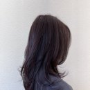 데일리수 이미지