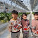 병설농장 이미지