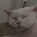 상협이네