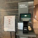 힐링하우스 | 서울 힐링 호캉스 더글라스 하우스 솔직한 후기