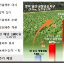 이모작 이미지