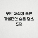 부안애서 이미지