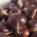 동인당한약 이미지