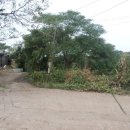 이충로100번길 이미지