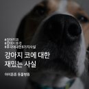 튼튼동물병원 이미지