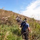 황강은빛백사장길 이미지