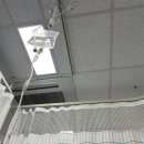 이리온 댕댕 이미지