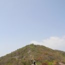 금도 이미지