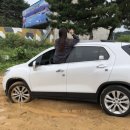 거진농협주유소 이미지